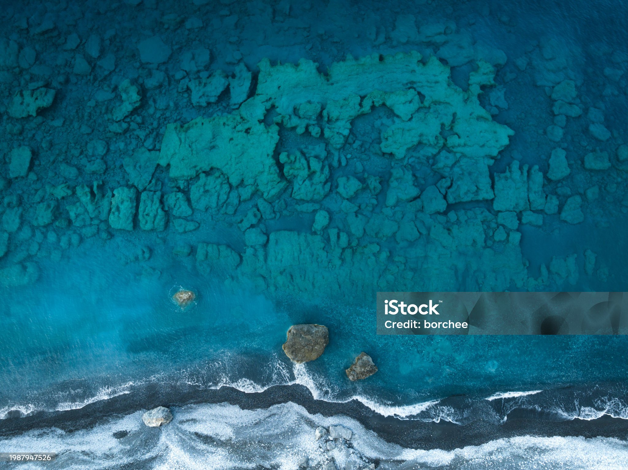 blue_carbon