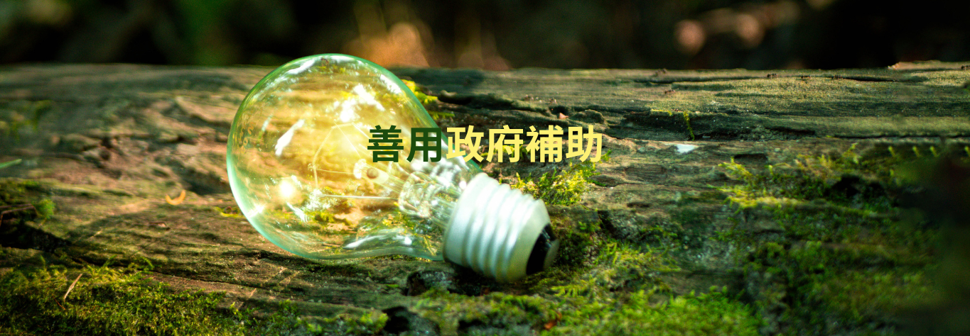 government_project